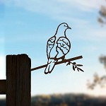 Metalbird
Tortelduif